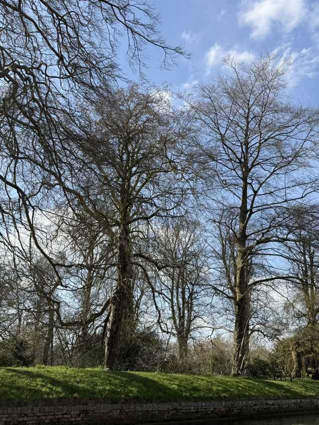 Cambridge 