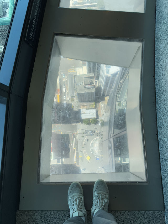 A 360 Ariel View Of Auckland, The Incredible Sky Tower 