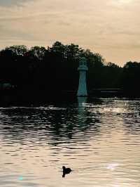 Explore Cardiff: A Vibrant Welsh City with Rich History & Culture