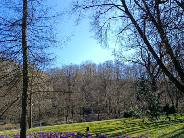 Bernardine Gardens❤️