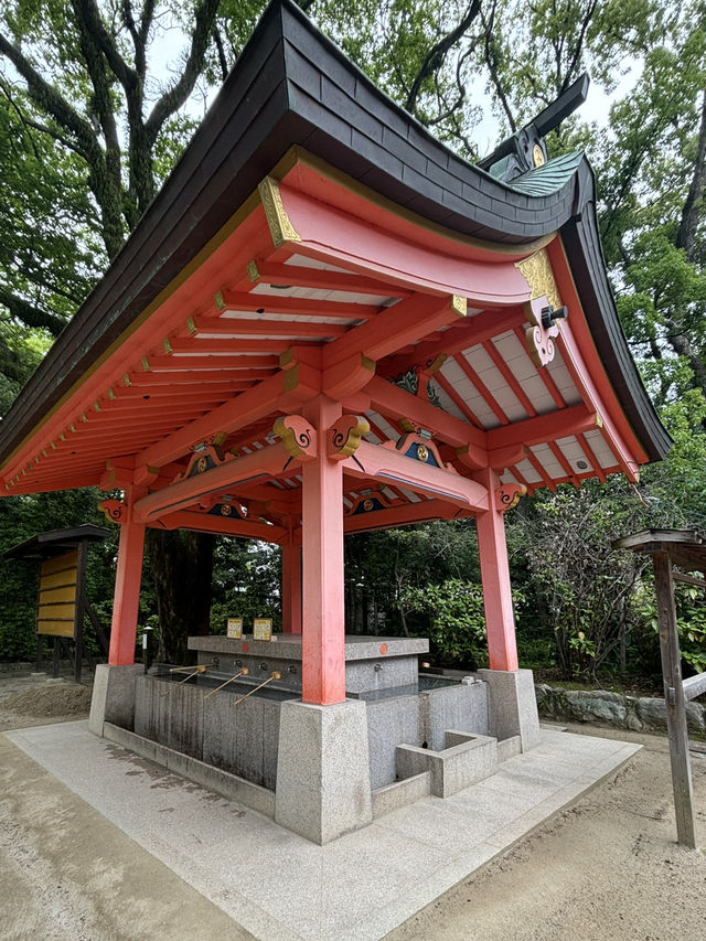 📍福崗旅遊//慢活的日本城市