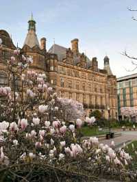 🌸 Spring Has Arrived in Sheffield City Centre – Here's How to Capture It 🌞📷