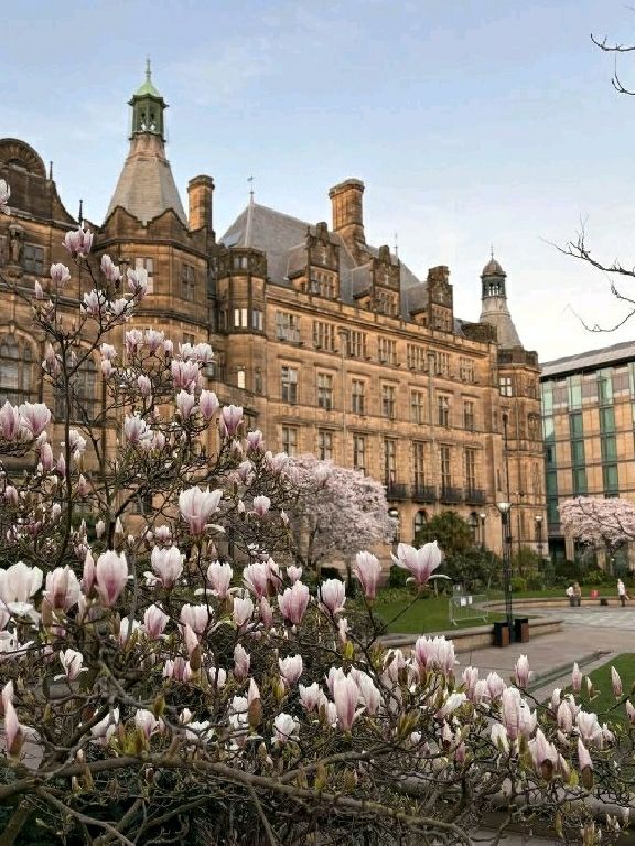 🌸 Spring Has Arrived in Sheffield City Centre – Here's How to Capture It 🌞📷
