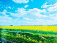 Spring in Sheffield: A Gateway to the Peaks