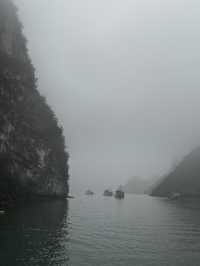 Misty Halong 