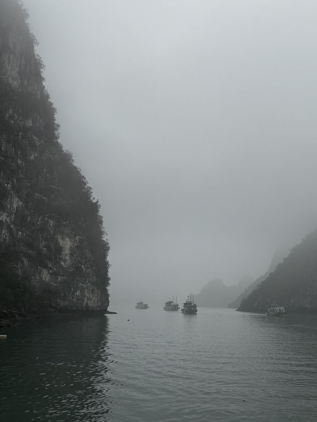 Misty Halong 