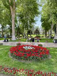 Springtime Bliss at Registan Park, Samarkand