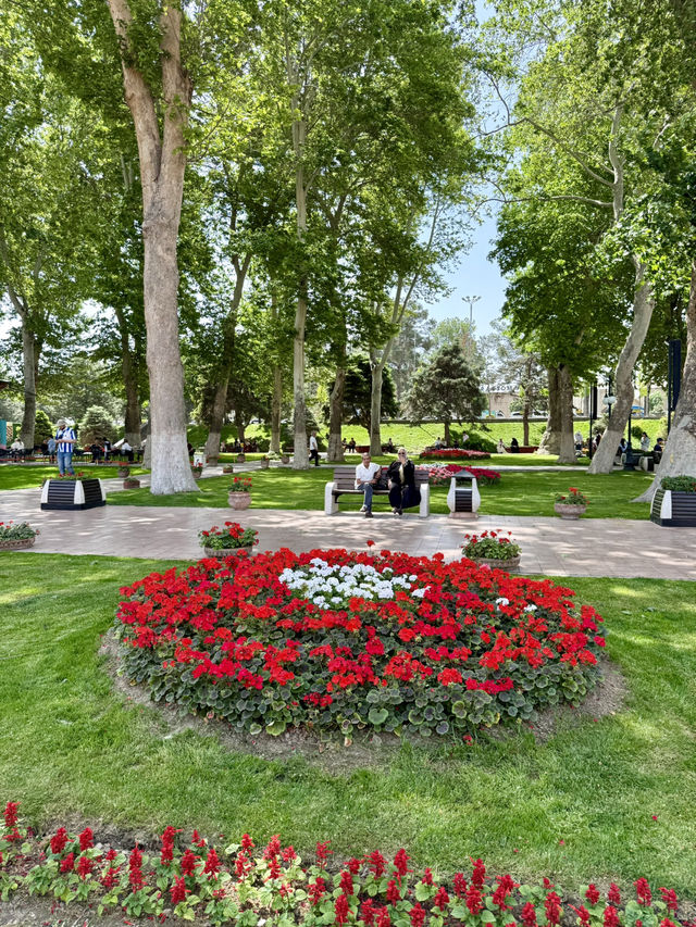 Springtime Bliss at Registan Park, Samarkand