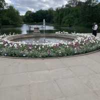 City walk through the old town, royal bath park and Wilanow