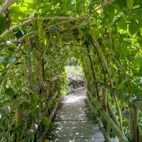 Secluded Splendour: the Botanical Gardens of Crete 🦋