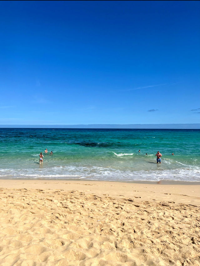 The beautiful beaches of Corralejo Fuerteventura 🇪🇸