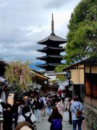 🌸 Jaw Dropping Japan - Shrines, Train Lines & Bovine.