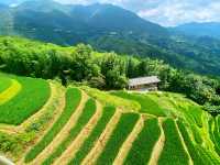 🌾 Stairway to Heaven: LongJi’s Golden Rice Terraces 🌄