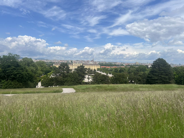 Vienna in 3 Days: A Royal Blend of Culture, Coffee & Classical Charm