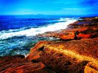 Baker Island – Acadia’s Remote Coastal Escape