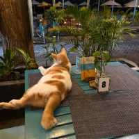 How to spend 4 days in Gili Trawangan