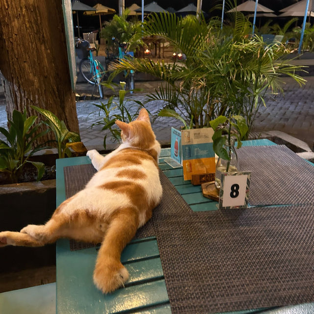 How to spend 4 days in Gili Trawangan