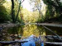 Misi Village, Bursa: A Quiet Escape into Tradition and Nature