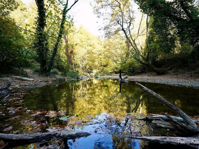 Misi Village, Bursa: A Quiet Escape into Tradition and Nature