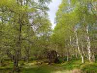 A visit to the shores of Loch Ness 