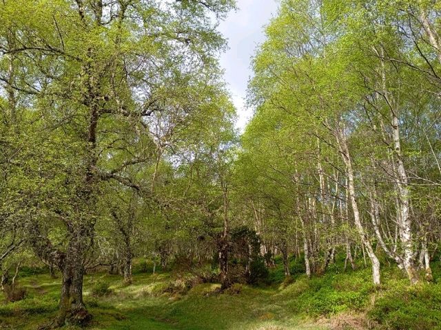 A visit to the shores of Loch Ness 