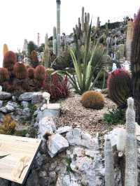 Eze | The nice botanical garden near Nice 