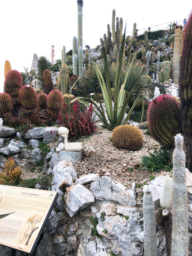 Eze | The nice botanical garden near Nice 