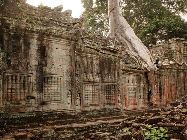 Angkor Complex – A Timeless Wonder of Cambodia
