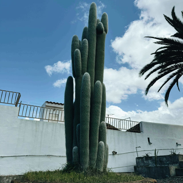 Tenerife on a Budget: Sun, Volcanoes & Secret Spots Tenerife on a Budget: Sun, Volcanoes & Secret Spots