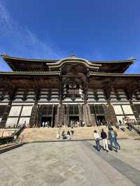 Step Into Ancient Majesty: A Nara Day at Todai-ji