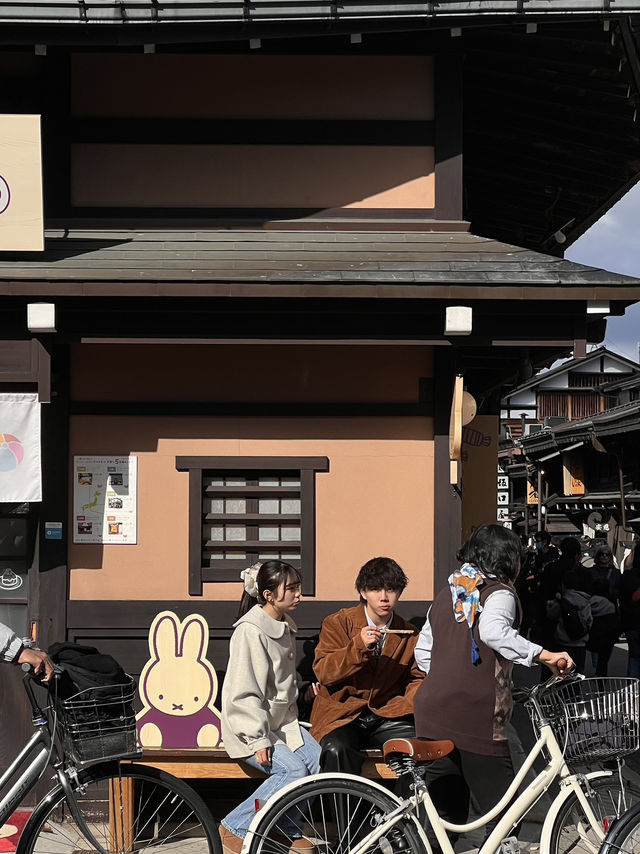 Nagoya to Takayama & Shirakawa-go 🏯🌿Day dream trip