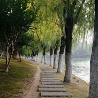West Part of Swan Lake, Hefei 🌇🌊