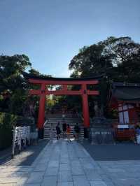 1000 Torii Gate Magic🛤️