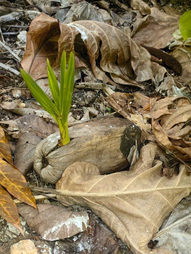 Мальдивы с малышом Мальдивы с малышом