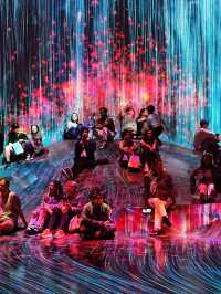 Teamlabs borderless the on the edge of imagination