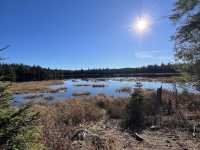 Algonquin Provincial Park