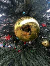 WINTER MAGIC AT MÜNSTERPLATZ 🇨🇭