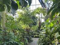 Muttart Conservatory