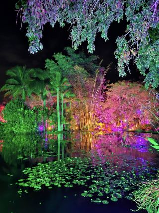 Naples Botanical Garden