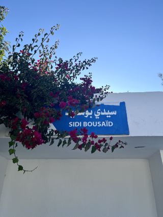 🇹🇳 如何花0.3美元遊覽西迪布賽義德！ | 突尼斯終極省錢指南🚂