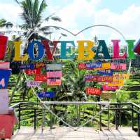 Uma Pakel swing | Ubud, Bali