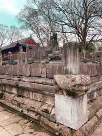 History on a Grand Scale in Nanjing