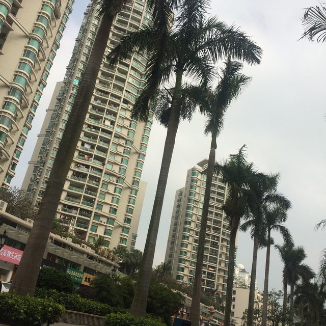 The Bay Park of Shenzhen!