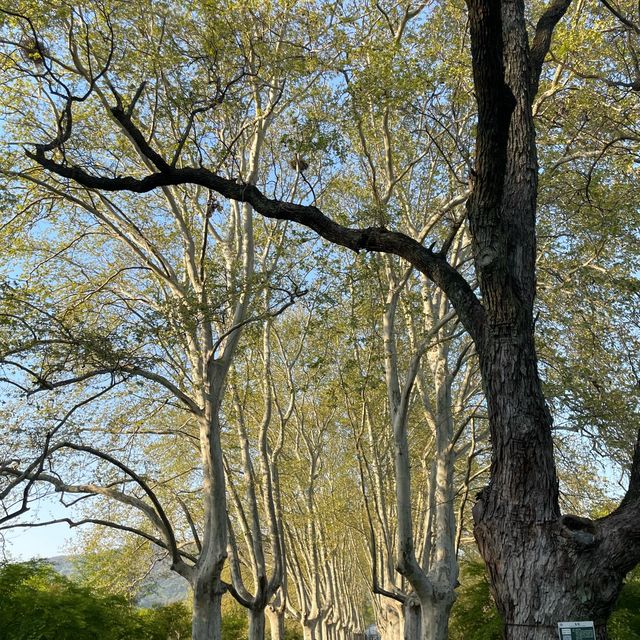 Ming Tomb 