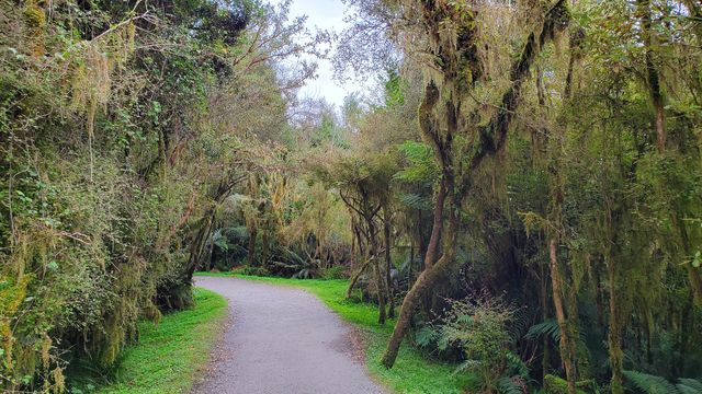 Enjoy the perfect view of Snowy Mountains at Lake Matheson.