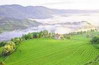 Chabuxi, where you can enjoy azalea flowers while taking a spring outing.