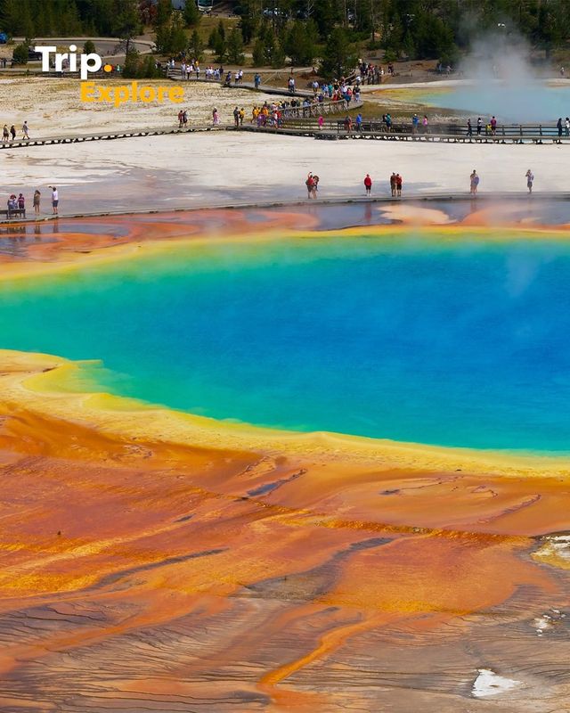Spend a night at Yellowstone National Park