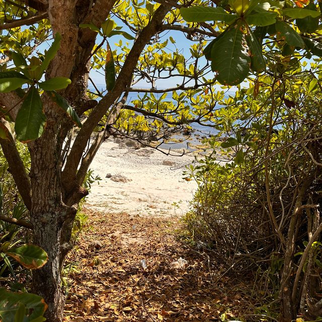 An oasis of tranquility on Green Island