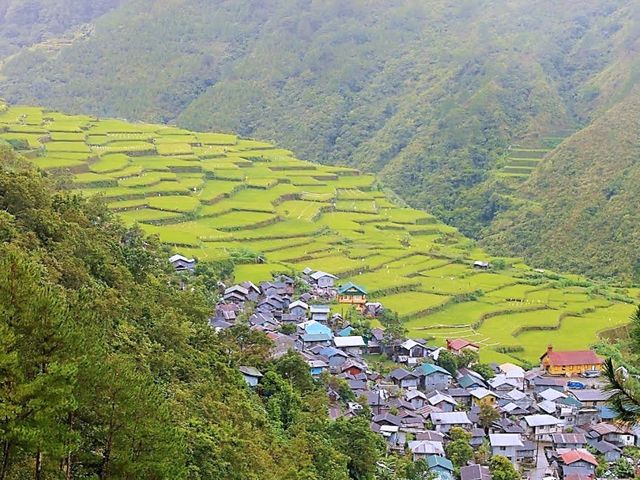 A Less Known Rice Terraces in the PH!🇨🇳