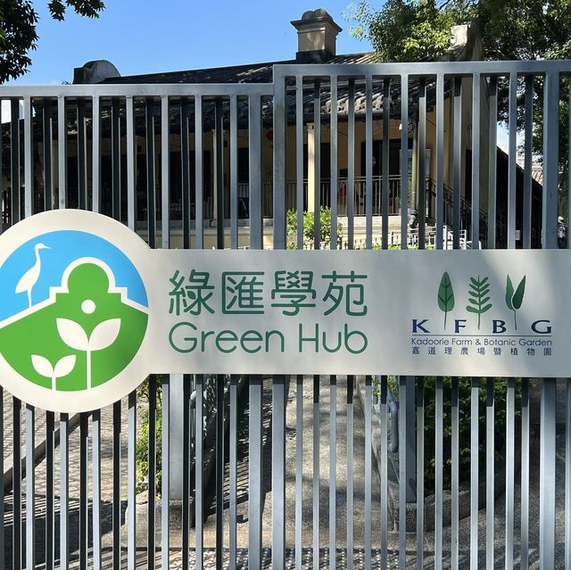 打卡香港綠匯學苑